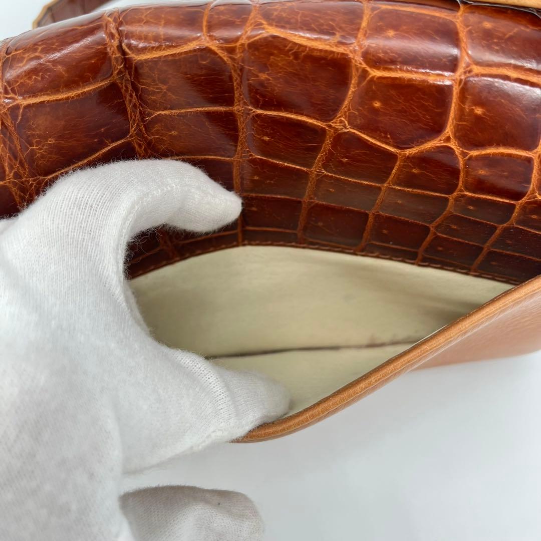 【希少品】LOEWE ショルダーバッグ 斜めがけ アナグラム シャイニングクロコ