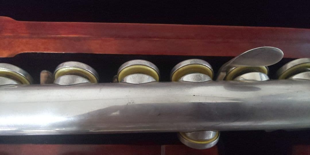 ヘインズフルート