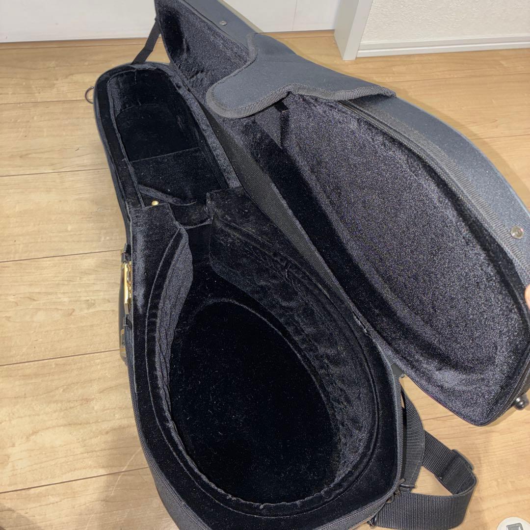 TSUNEO FUJIMARU MODEL ikegaku ANNO マンドリン カラーチェマンドラNo