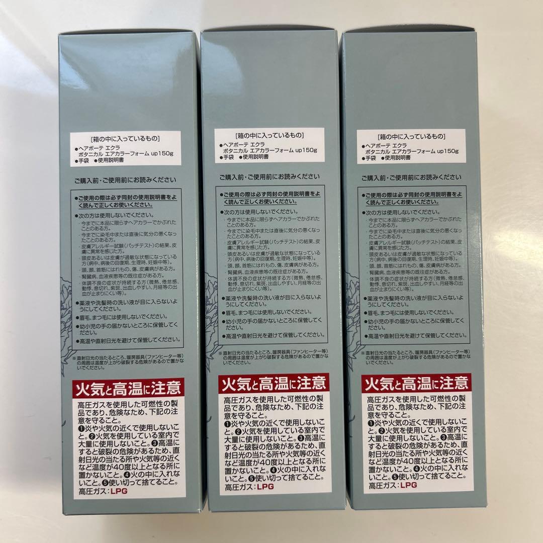 ヘアボーテ エクラ ボタニカルエアカラーフォーム up ナチュラルブラック 3本