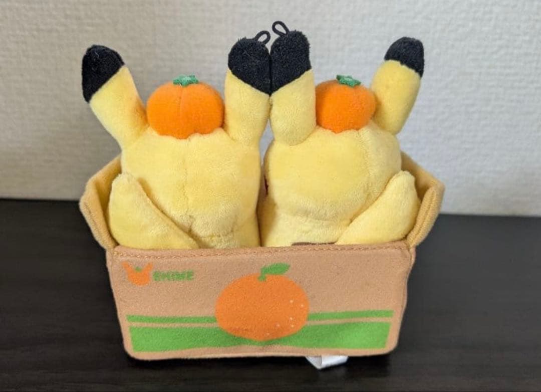 ペアピカチュウと愛媛みかん えひめ