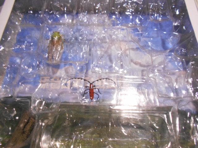 原色日本昆虫図鑑Ⅰ・Ⅱ 箱 フィギュア 6点付 YUJIN