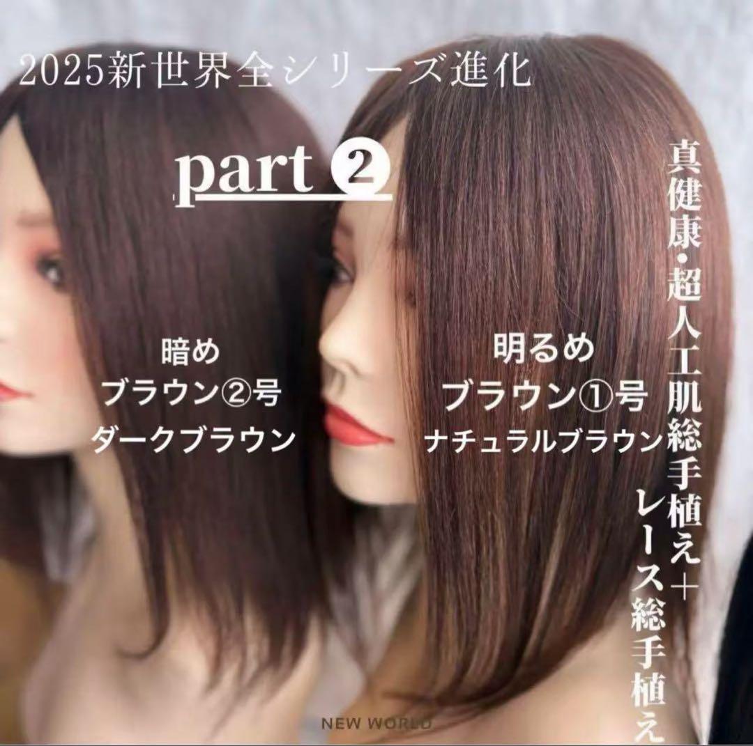 2025新世界　人毛100%　フルウィッグ　シルクスキン　医療ウィッグ　ブラック