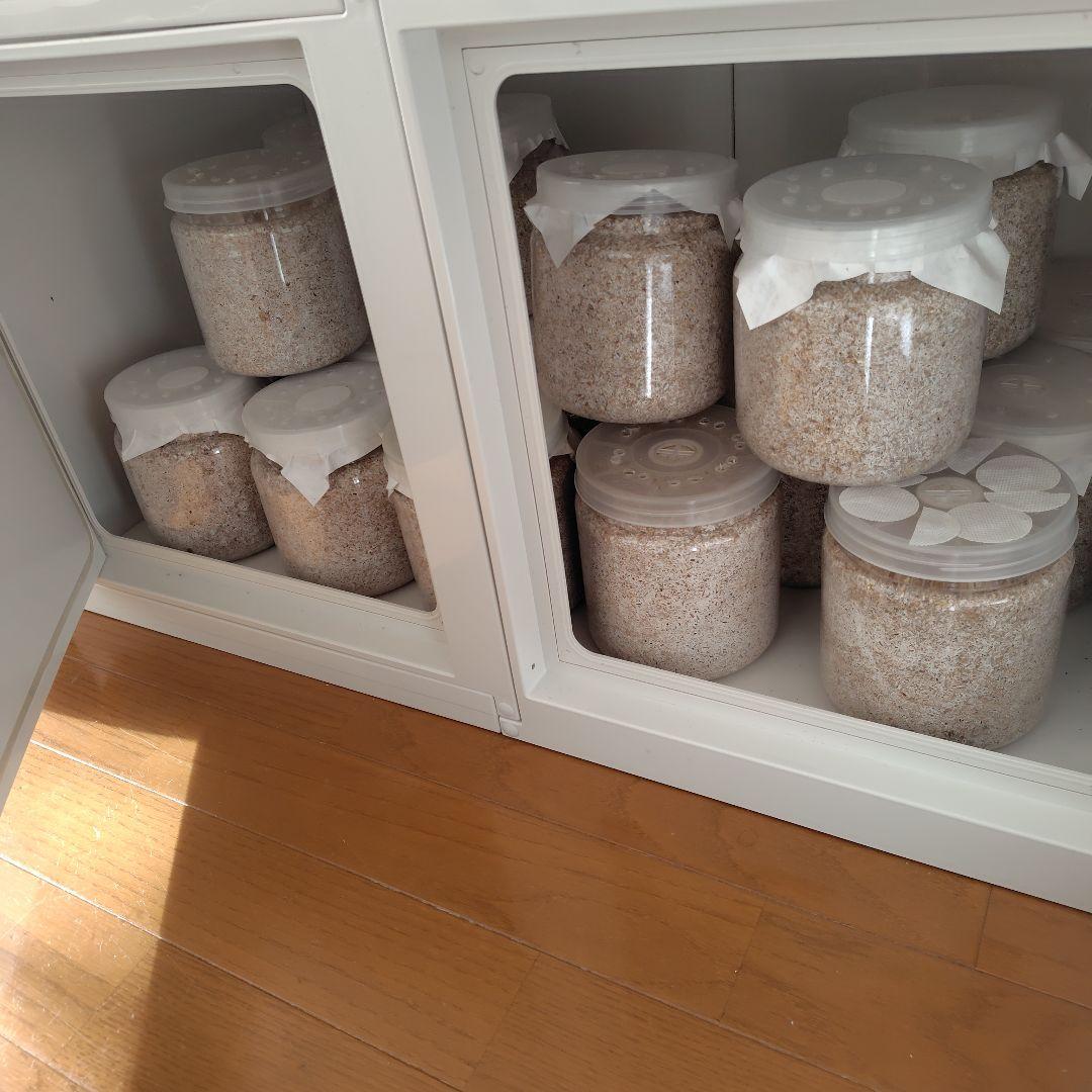 冷やし虫家HI売ります