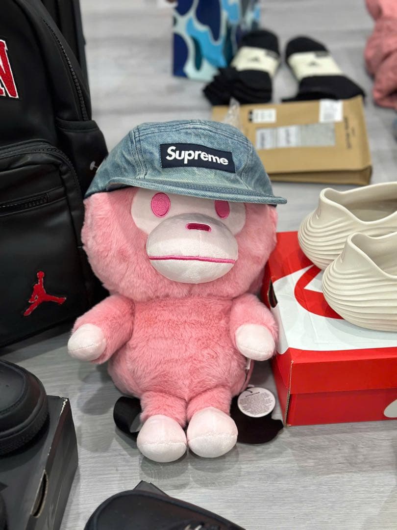 イギリス産 ジュラ紀 アンモナイト 特大 88m 美麗標本