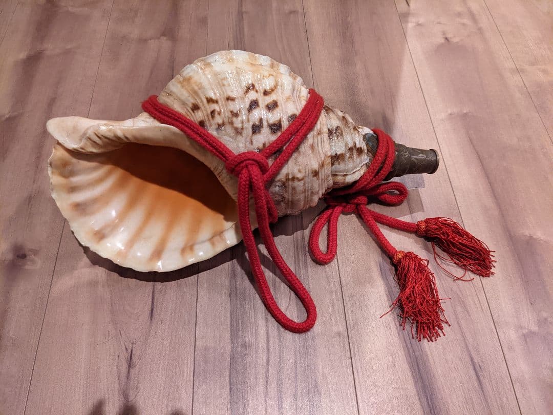 特大肉厚41㎝修験道法螺貝 山伏密教魔除けホラガイほら貝