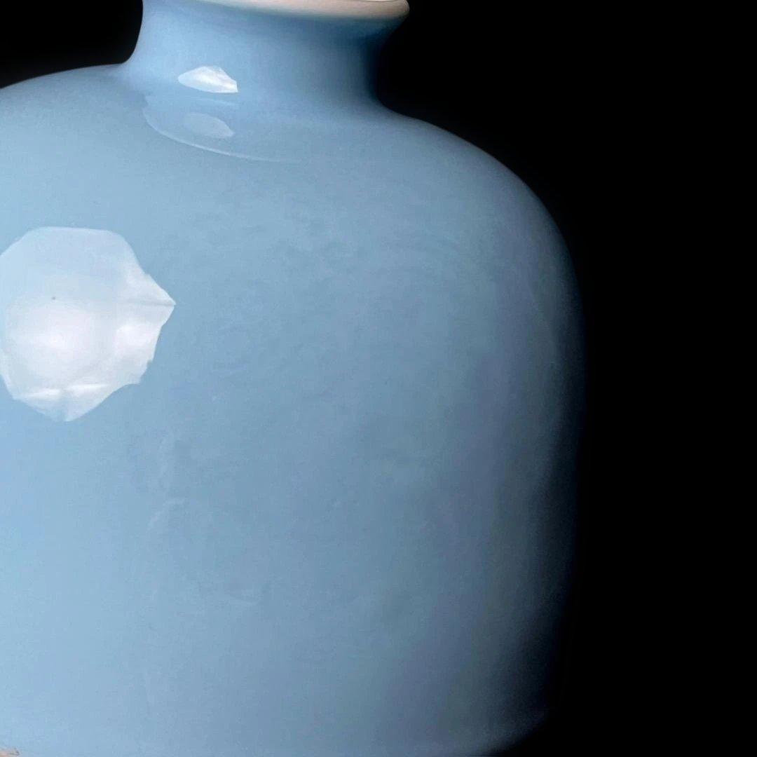 唐物 天青釉暗刻龍紋太白尊 大清康煕年製