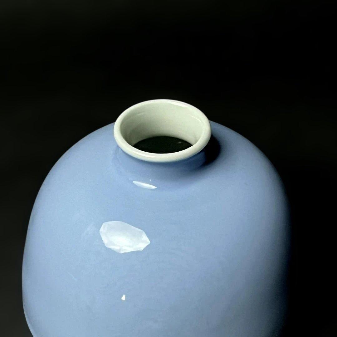 唐物 天青釉暗刻龍紋太白尊 大清康煕年製