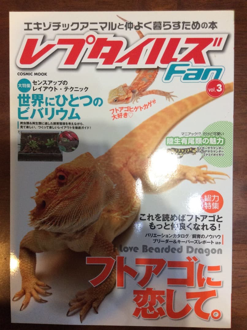レプタイルズ Fan Vol.1〜5 全5冊 まとめ売り コスミック出版