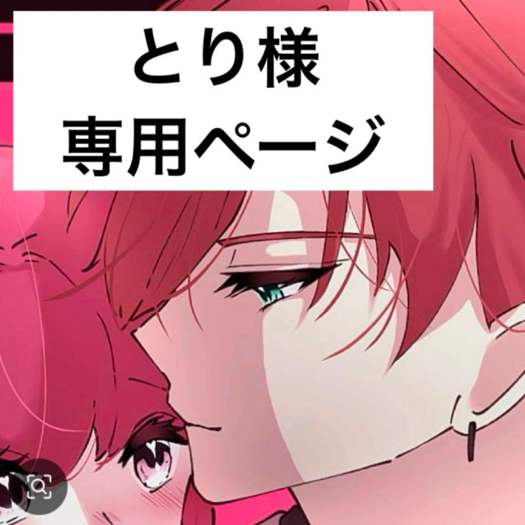 来夢！鳥ケージ保温カバー！ minty！ 鳥ケージ保温カバー！ 来夢様専用！鳥