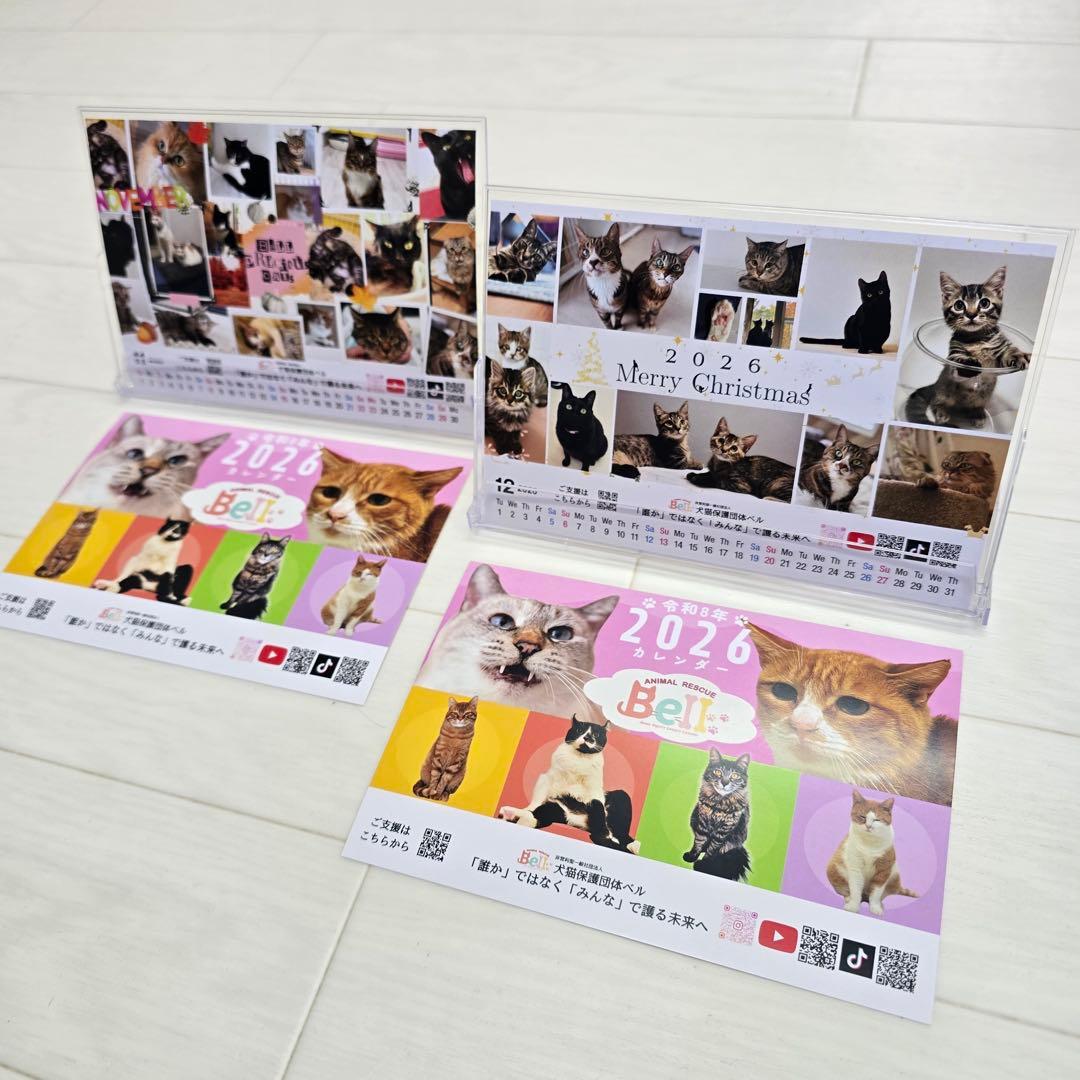 ②《猫》 卓上チャリティーカレンダー10枚セット