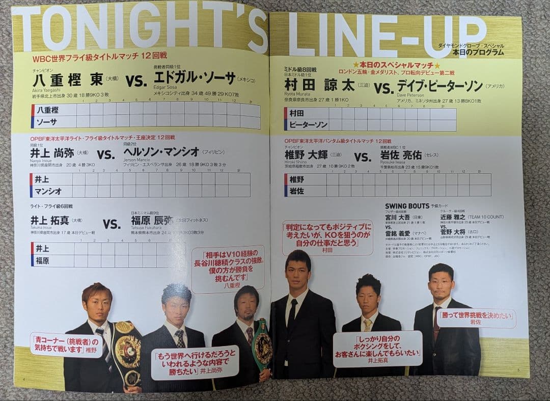 激レア非売品 ダイヤモンドグローブスペシャルパンフレット