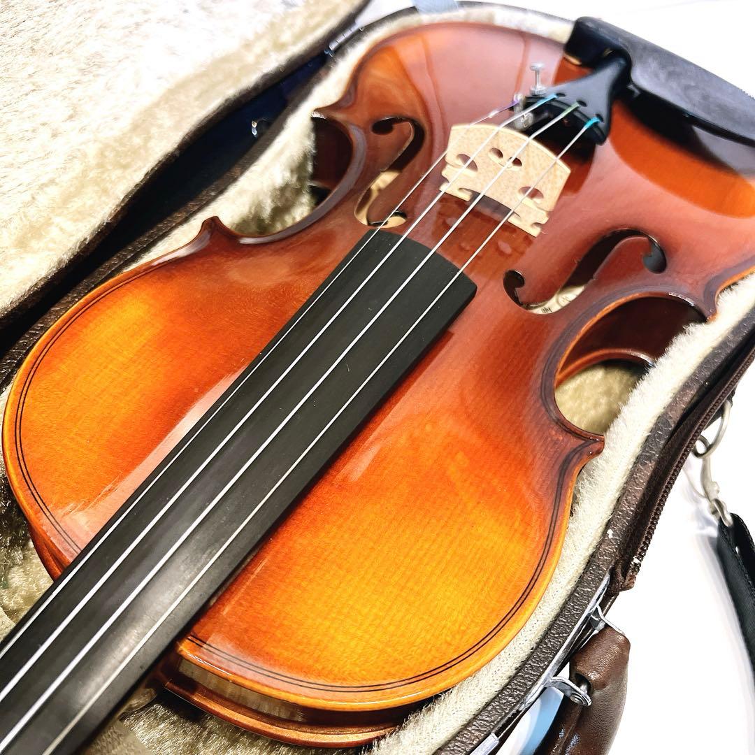 【極美品】KARL HOFNER 2001年製 4/4 カールヘフナー虎杢 66