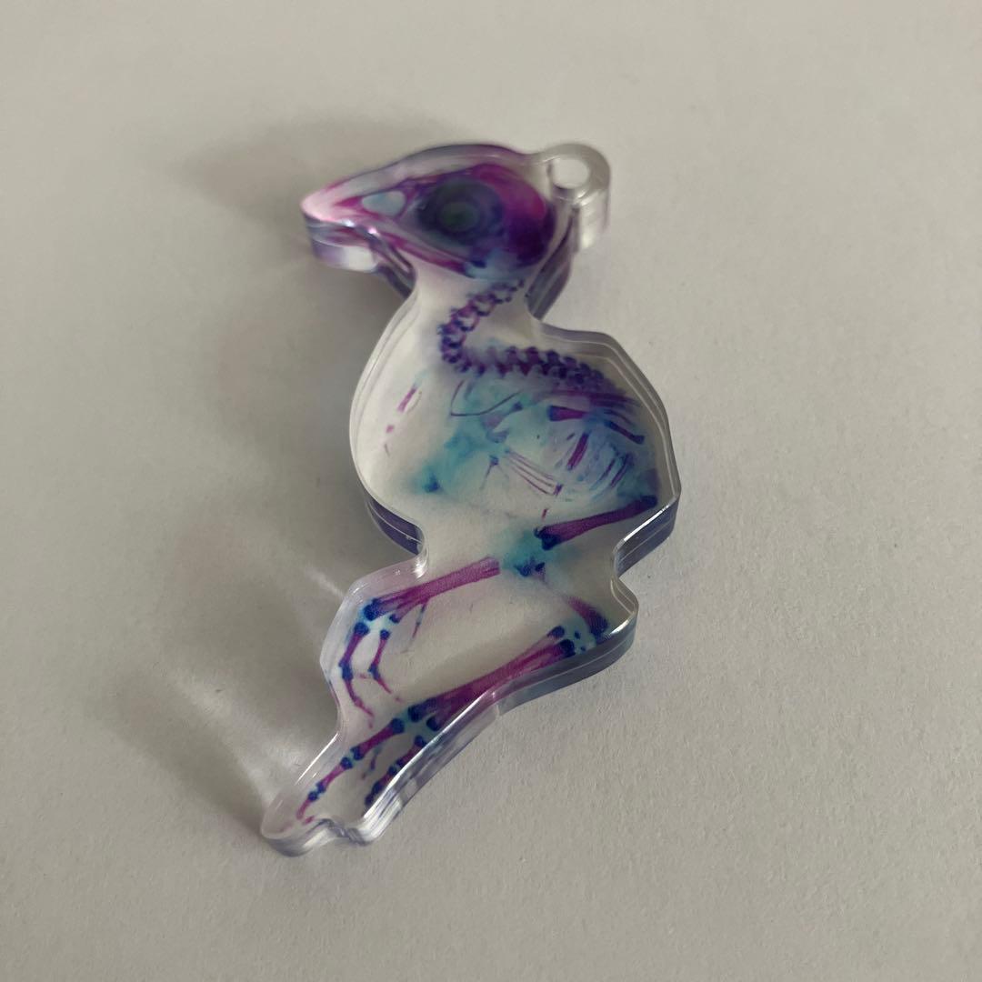 新世界『透明標本』 ウズラ キーホルダー ボールチェーン無し - メルカリ