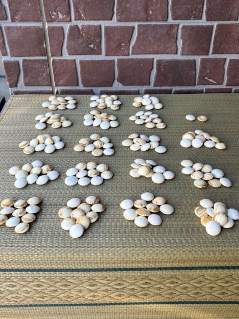 い*ぬ様 碁石蛤白石厚み約9.4mm那智黒黒石碁笥・碁盤付囲碁道具スワブテ日向本