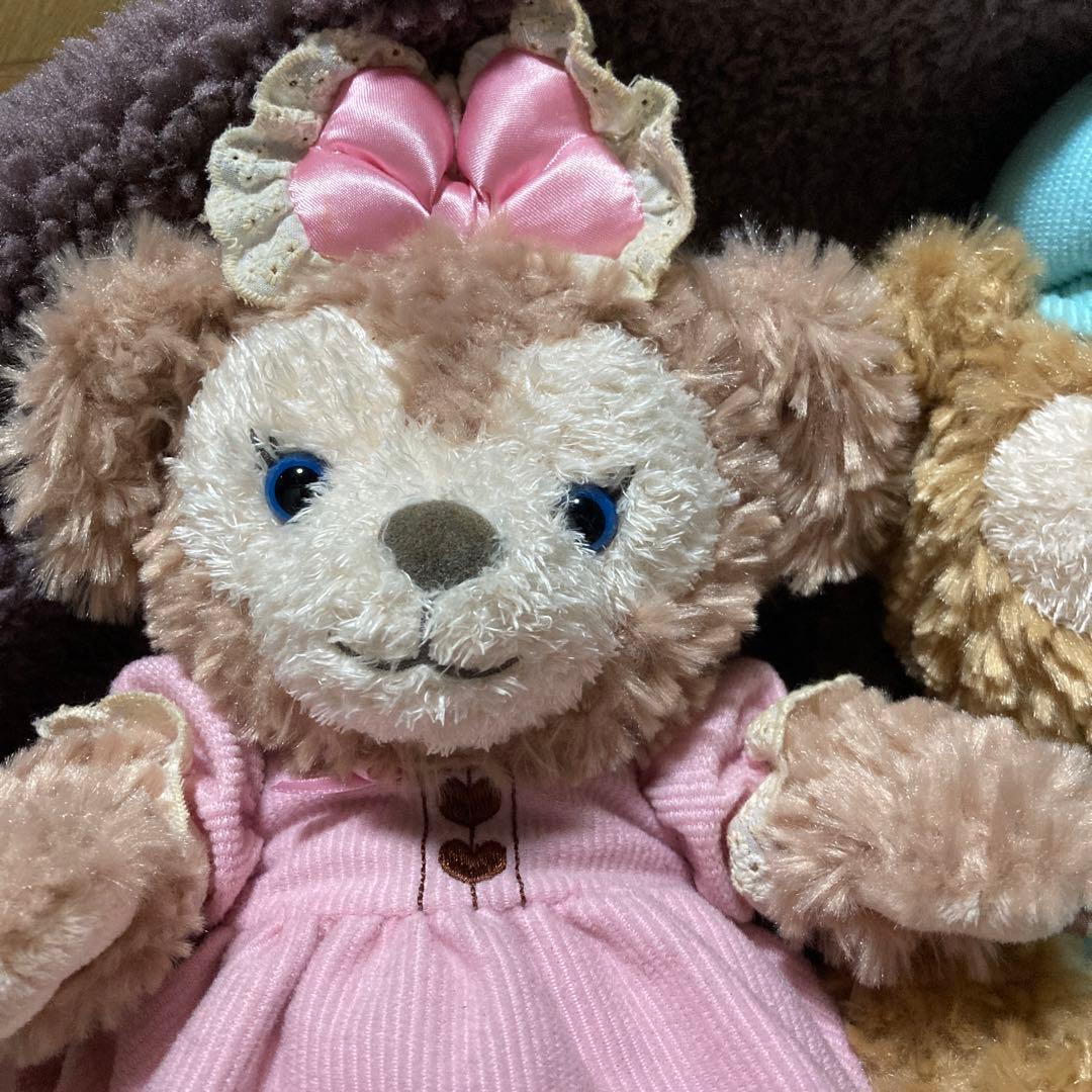 香港ディズニー　ダッフィー　シェリーメイ　バレンタイン 2019