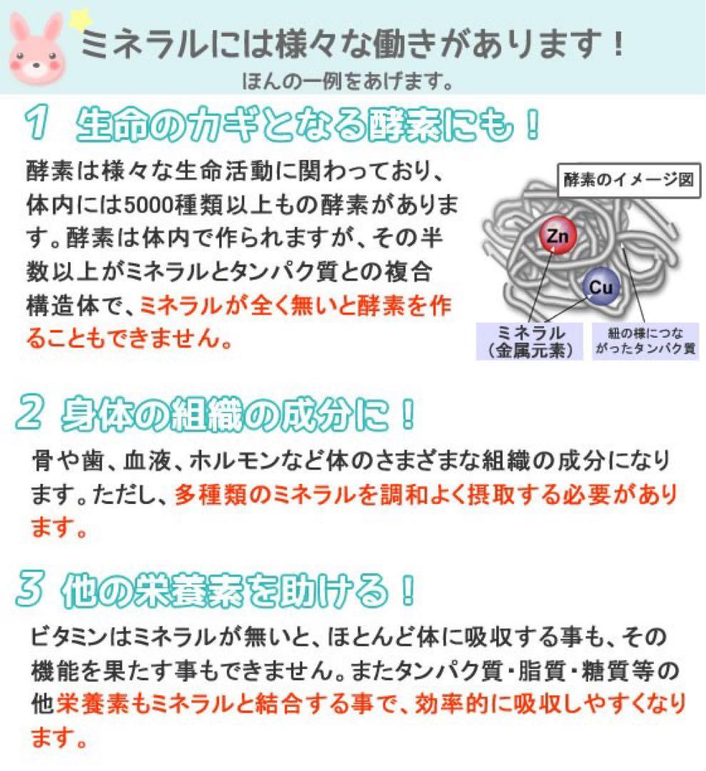 農薬添加物対策】楽天売上1位⭐︎希望の命水 2本セット