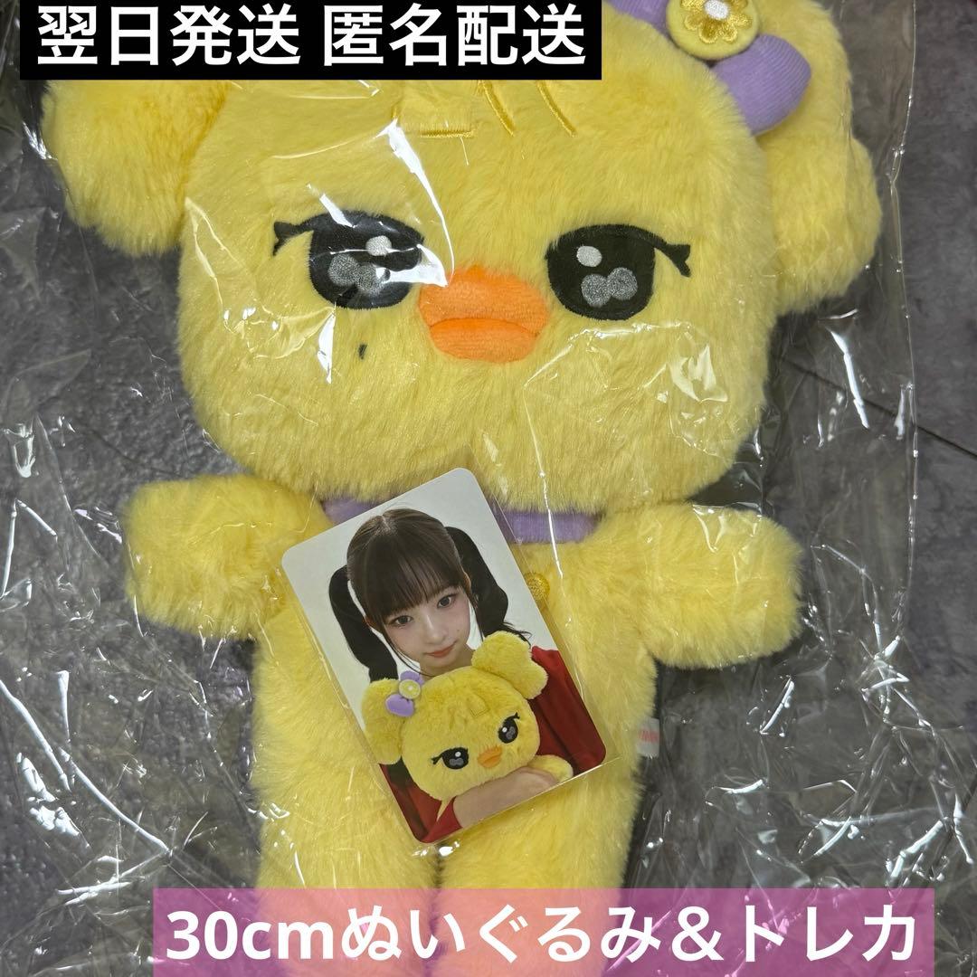 IVE MINIVE ポップアップ PLUSH 30cm ぬいぐるみ レイ - メルカリ