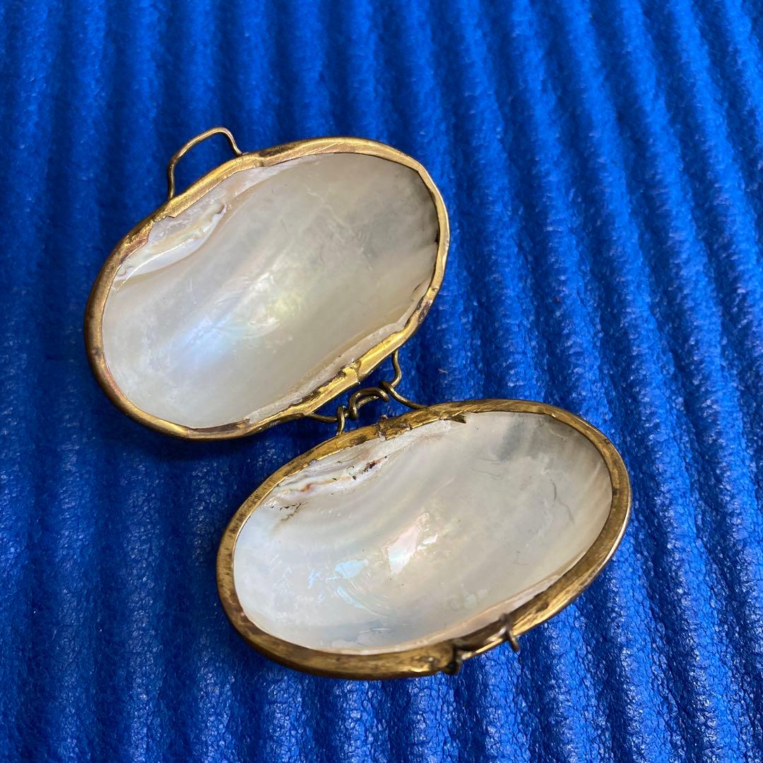 フランスアンティークマザーオブパール 白蝶貝 - メルカリ