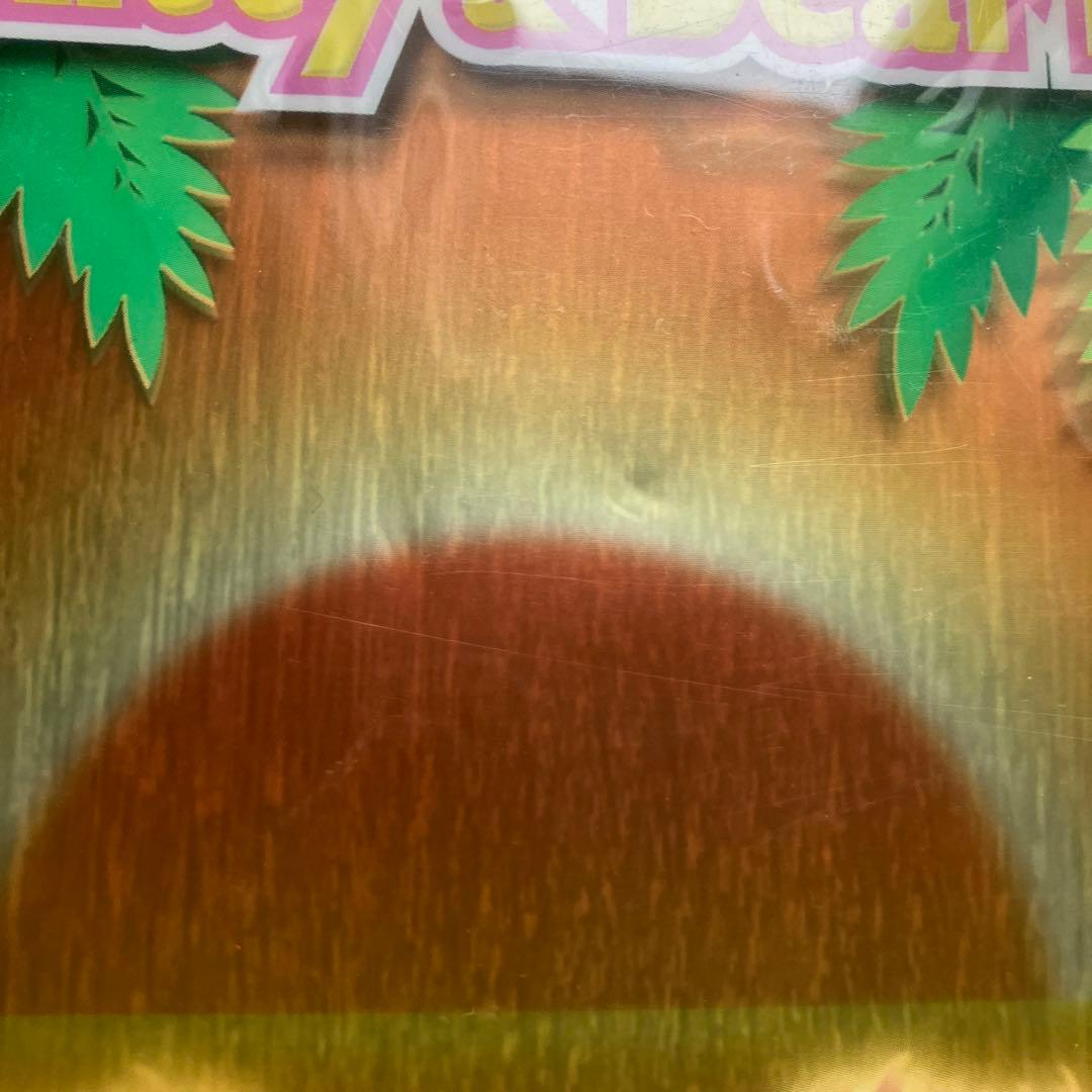 d*2様 ハローキティ サンセットクリアファイル 日焼けキティ サンリオ