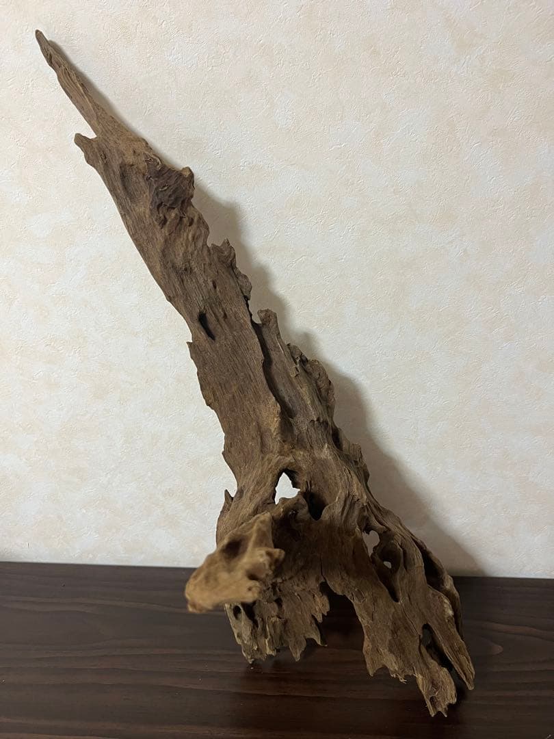 XM-363 ブランチウッド 流木 マシンガンウッド アクアリウム 爬虫類