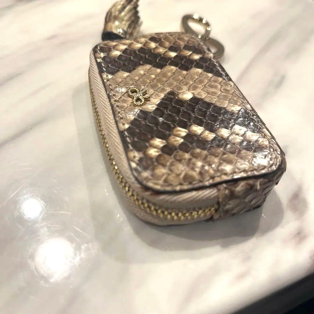 アニヤハインドマーチ　ケース