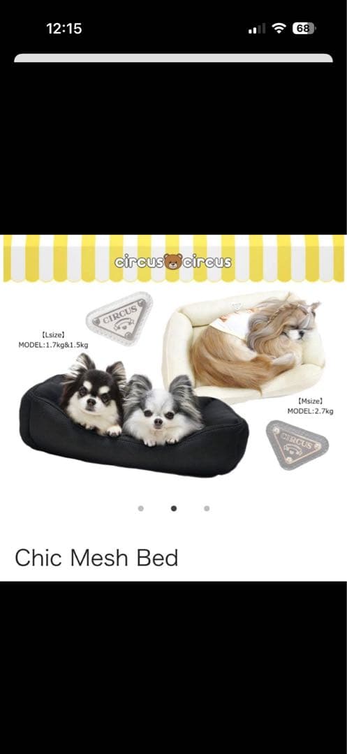 サーカスサーカス　ベッド　L 涼感加工　黒 CIRCUS SKIRT CHINO CLOTH チノ サーカススカート A22503 |