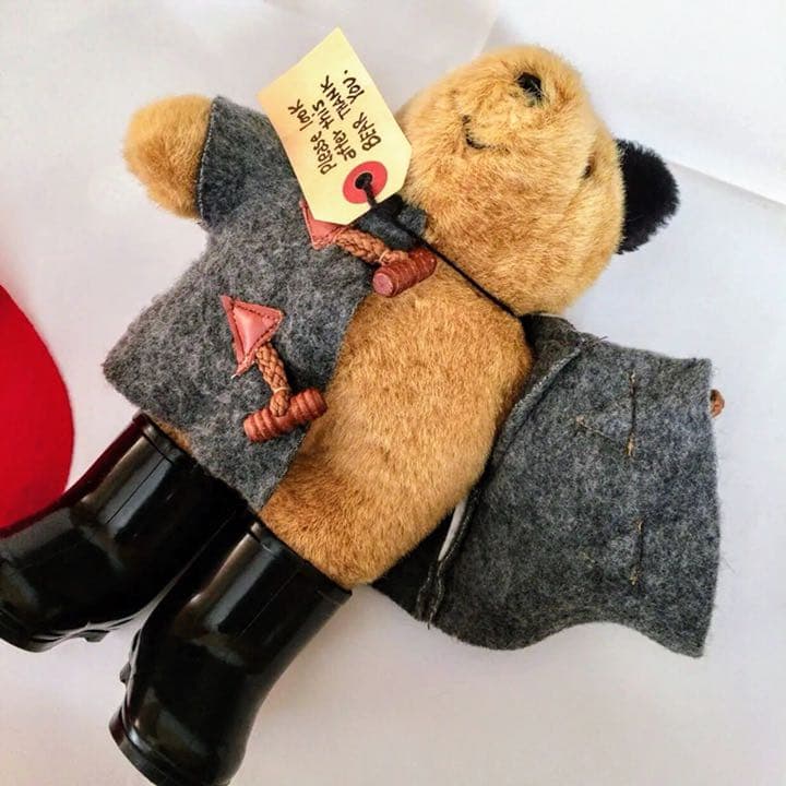 クマのパディントン くまのパディントン ぬいぐるみ パディントン 公式