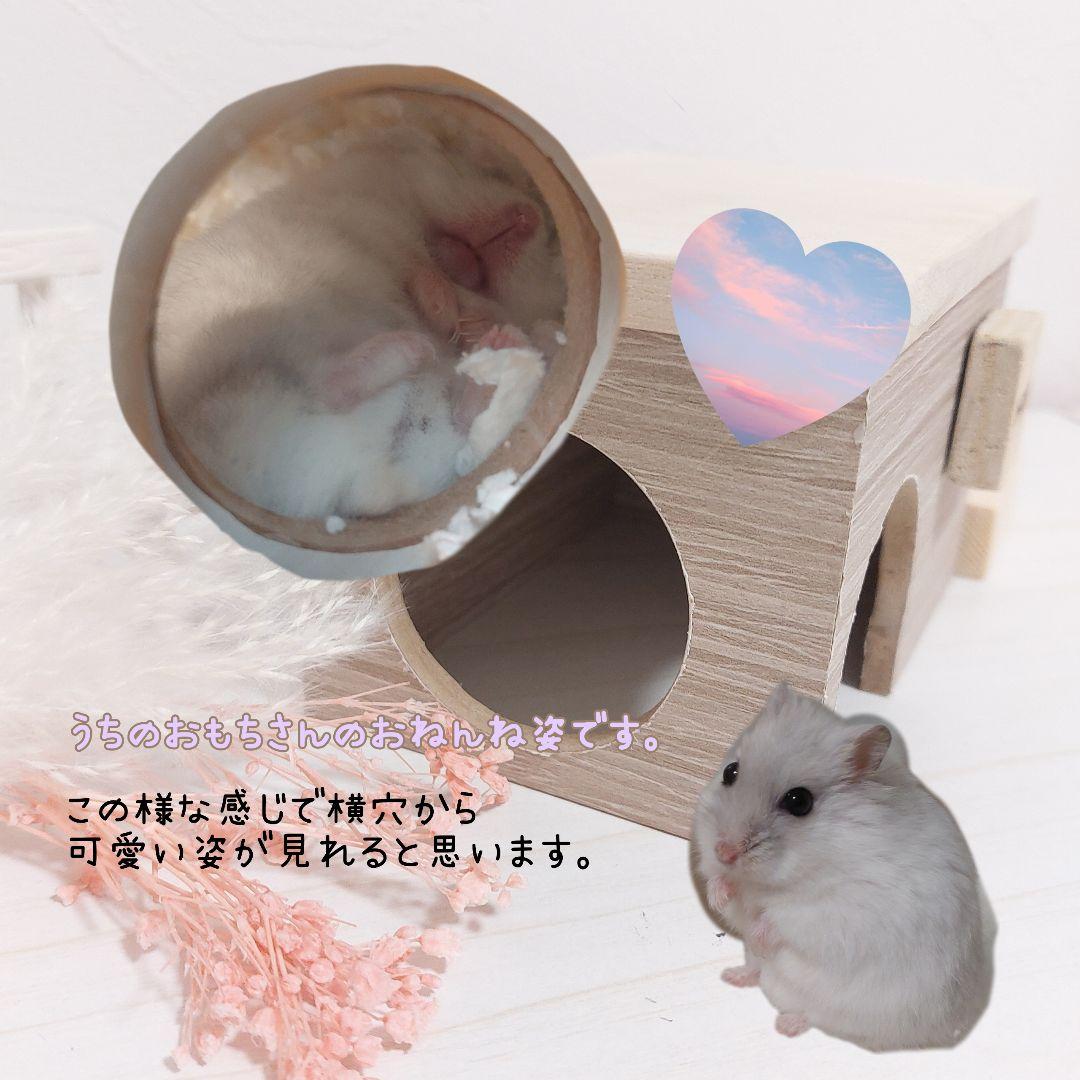 ハムスターハウス ハムスターロフト グラスハーモニー450 ハンドメイド