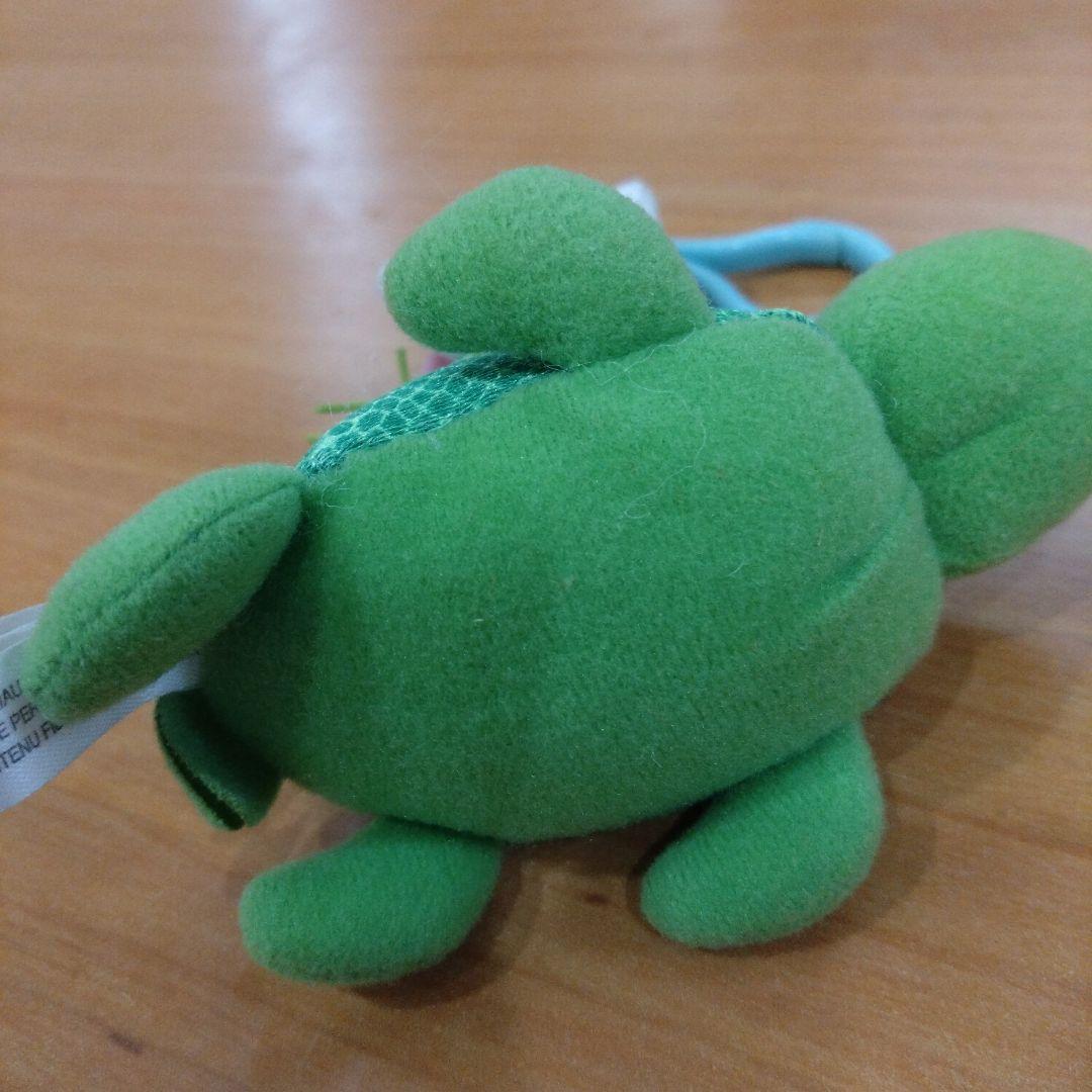 ご当地　ハワイ限定　キティ　カメ