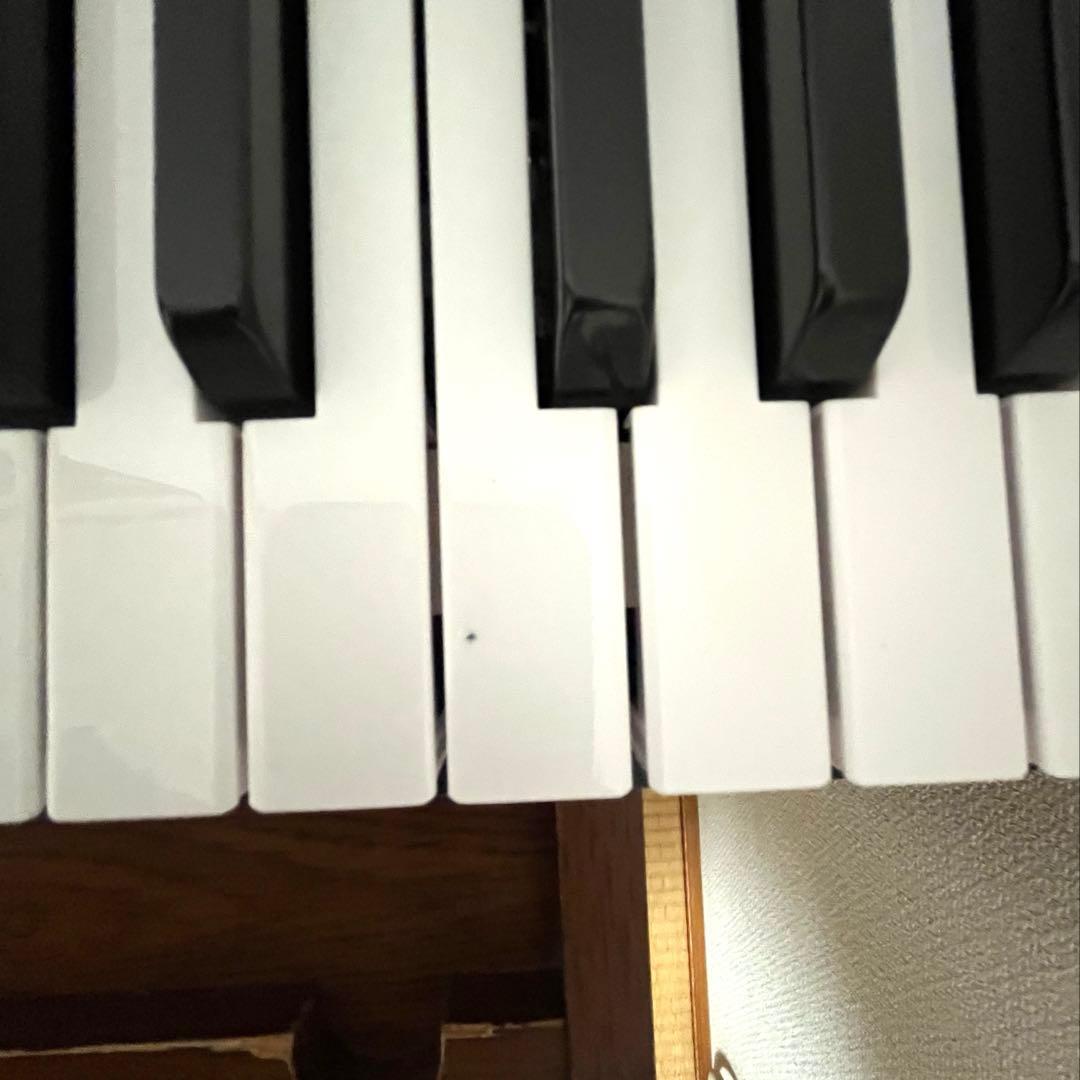 TORTE 電子キーボード 61鍵盤 TSDK-61 300ボイス　おまけ多数