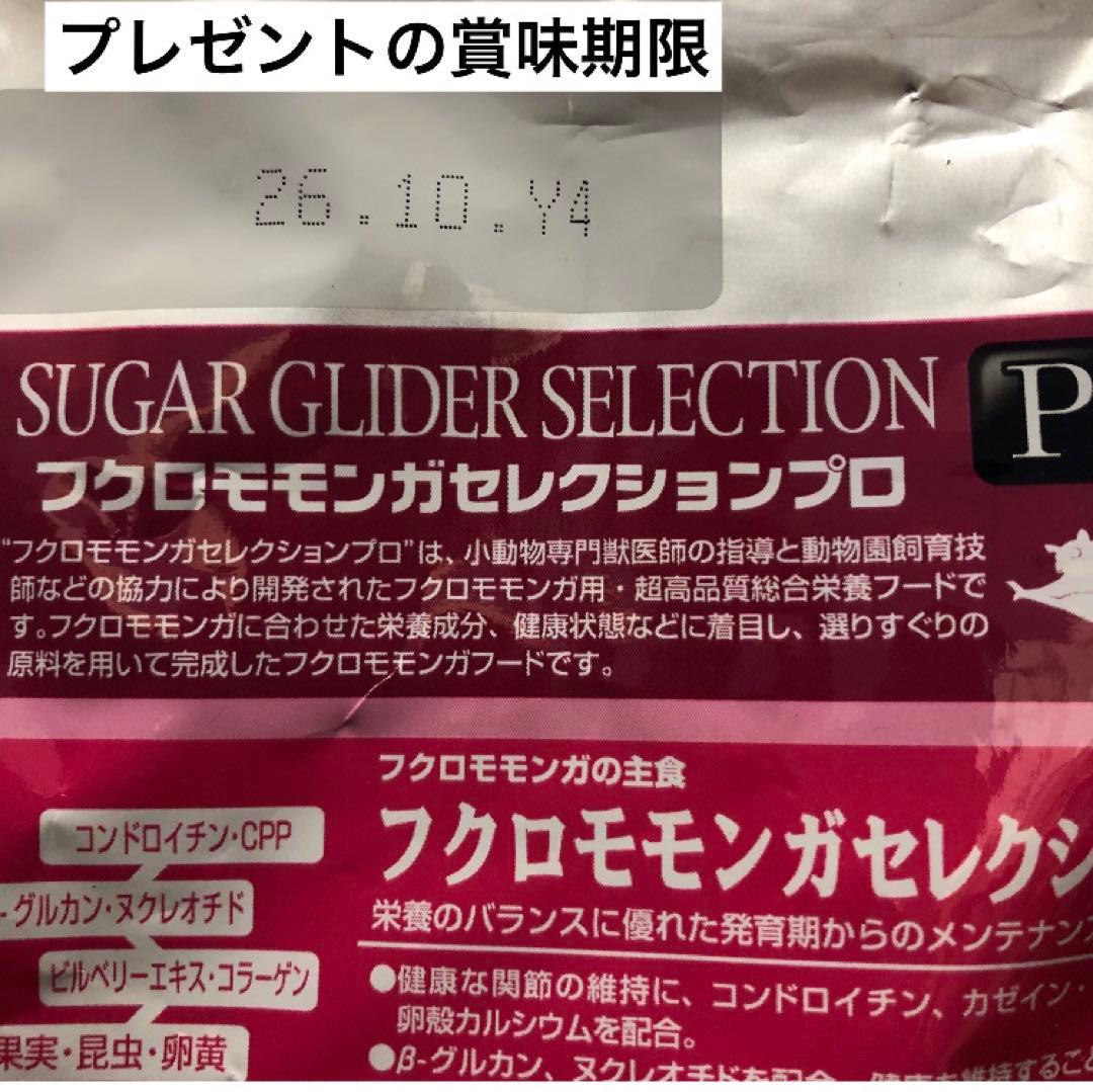 モモンガ ポーチ ハウス おうち Lサイズ ハンドメイド - メルカリ