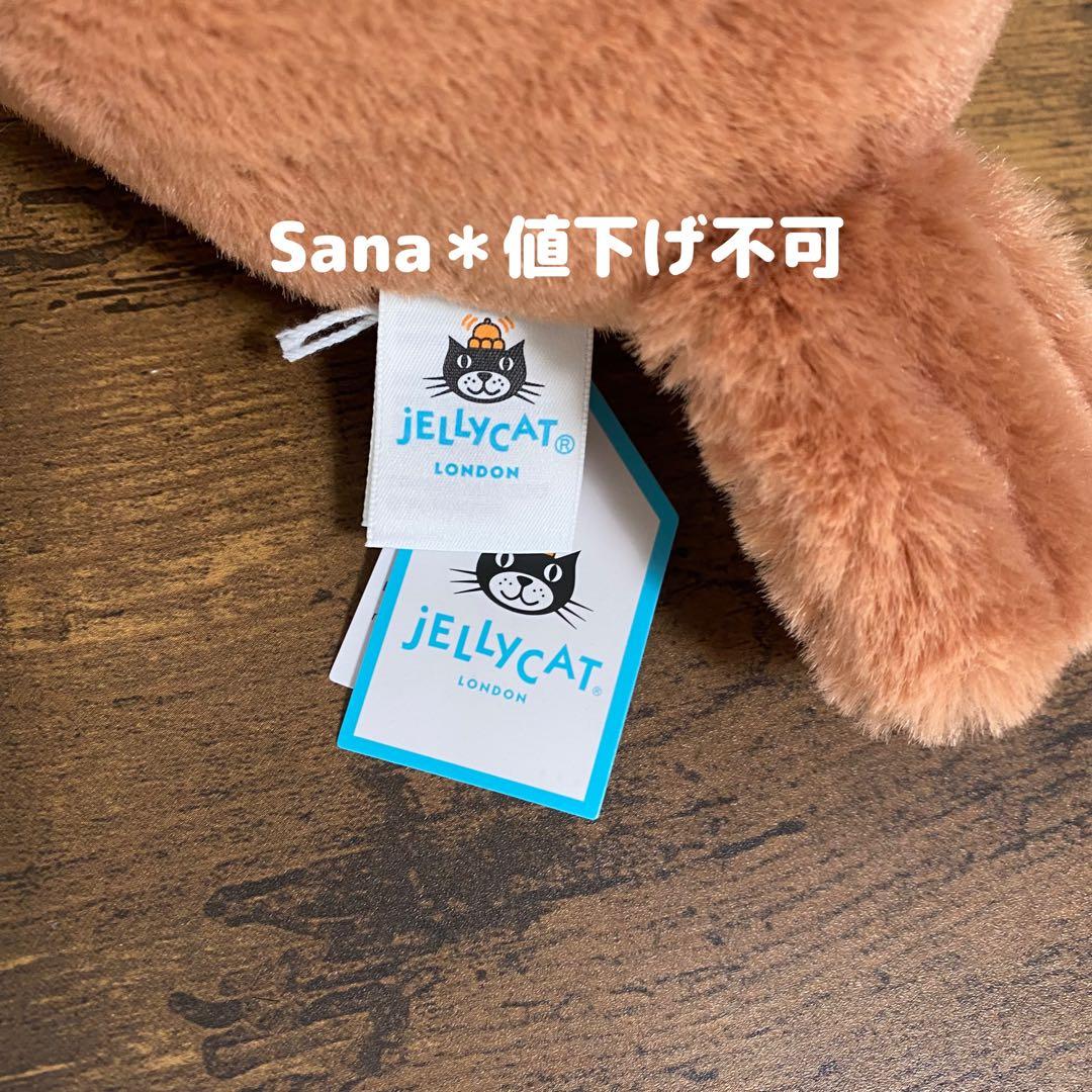 新作　新品　ジェリーキャット　ロビン　鳥　robin コマドリ　bird 冬