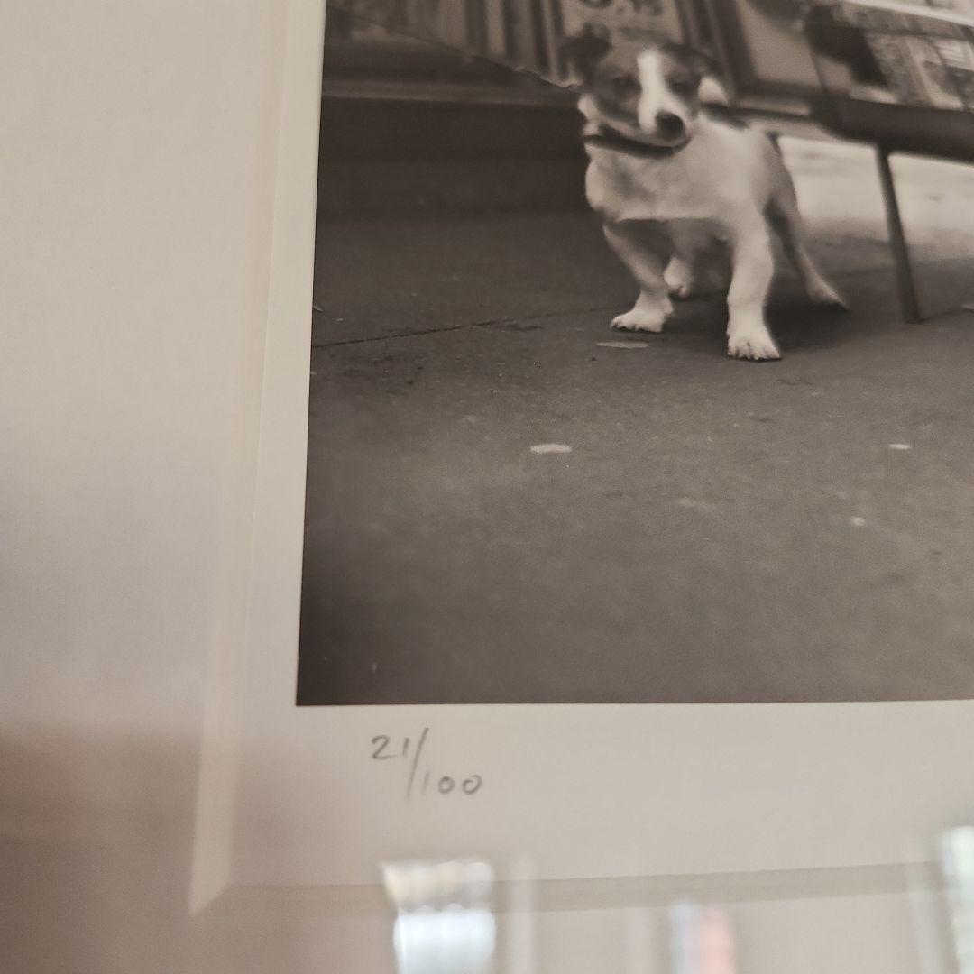 JON ONGKIEHONG 「 PLACE DE COSTA RICA」アート JON ONGKIEHONG