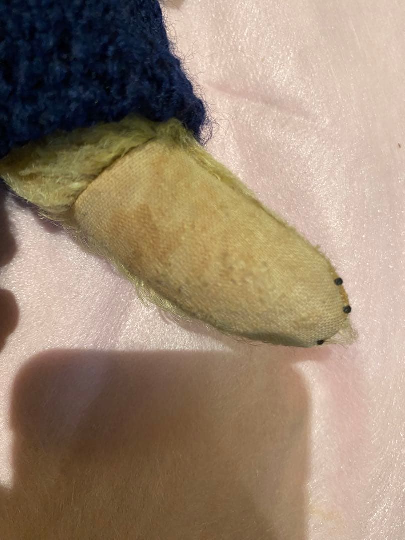 フォーゲットミーノット ベア Forget me not bear