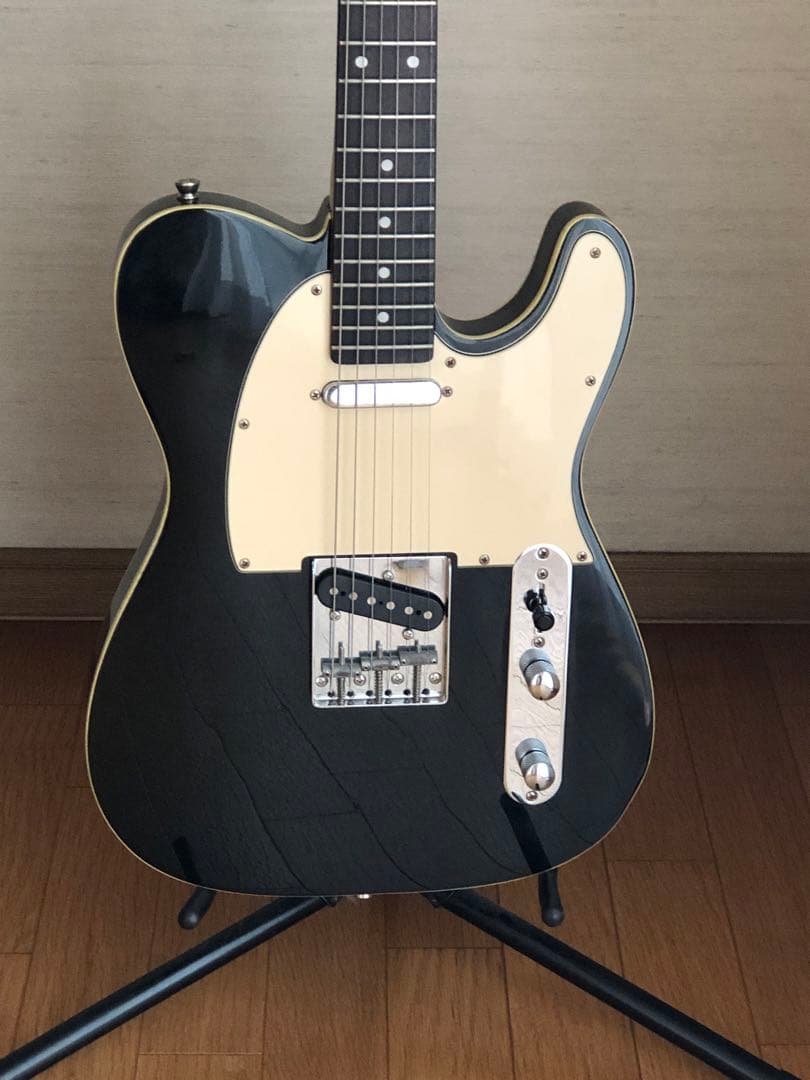 Bacchus テレキャスター ダブル バインディング　BTC-1R BLK