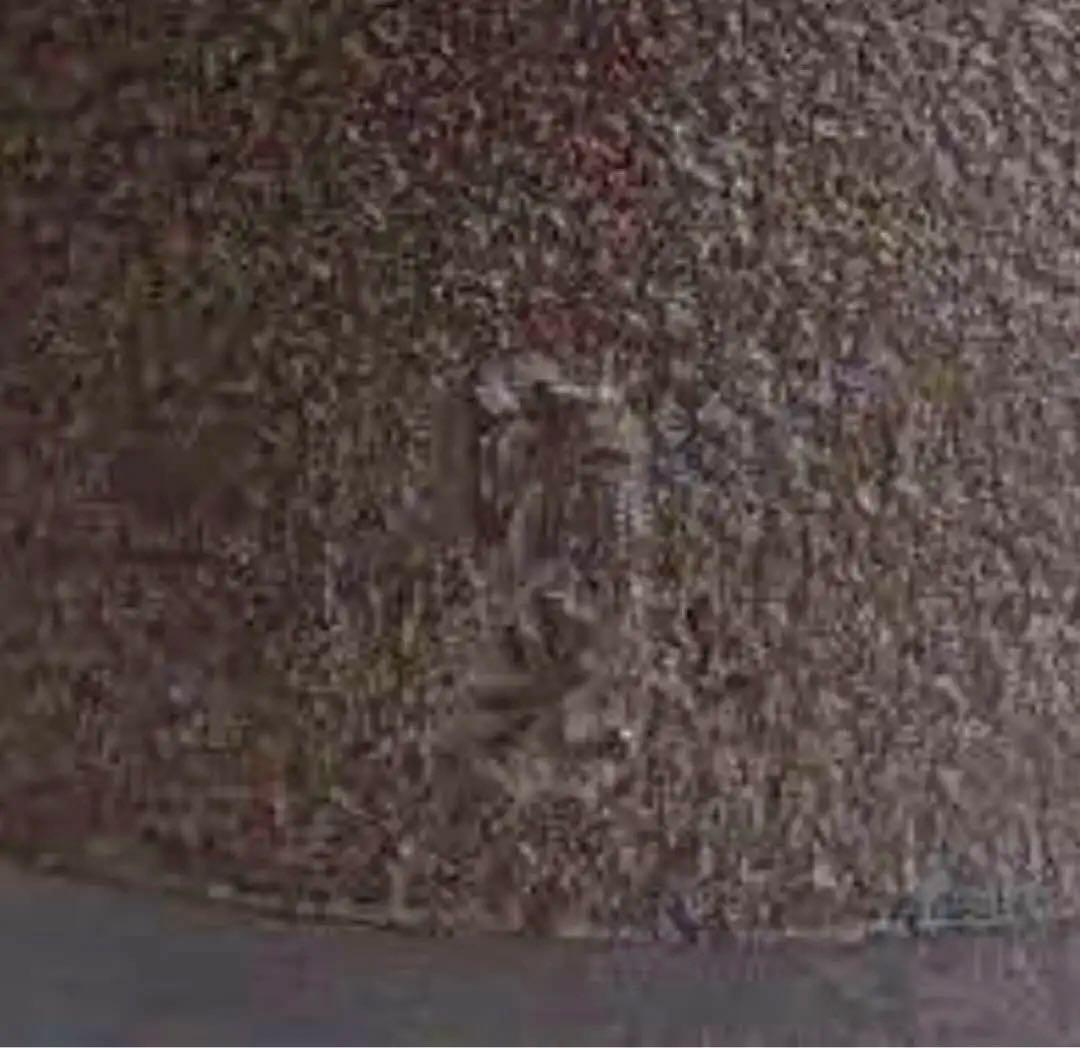 鉄瓶 美品 茶道具 茶釜 佐藤清光作 箱 釡唐銅茶蓋 釜環 - メルカリ