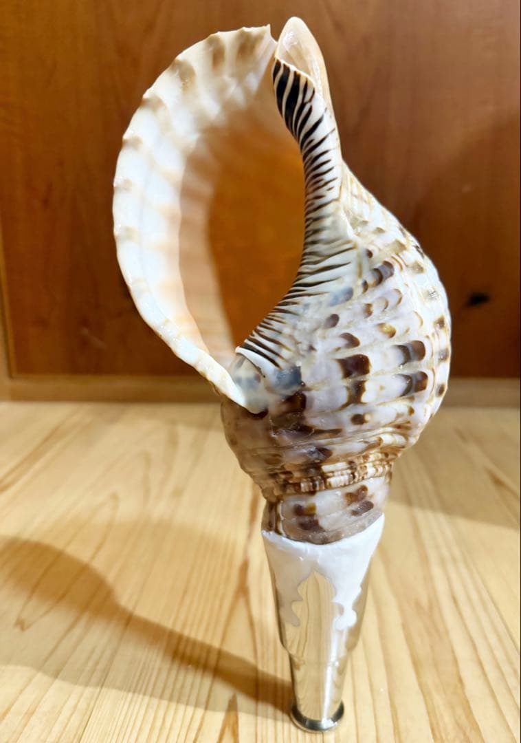 コンパクト修験道法螺貝 山伏 密教 魔除け 熊よけ❣️ホラガイ ほら貝