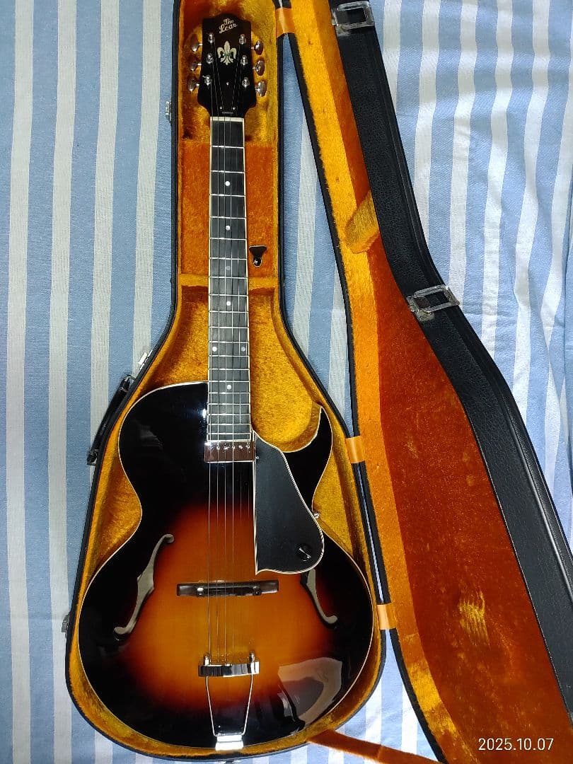 The Loarのハードケース付き1ハムフルアコLH-650vs使用感少な目美品 The Loarのハードケース付き1ハムフルアコLH-650vs使用感少な目美品 18