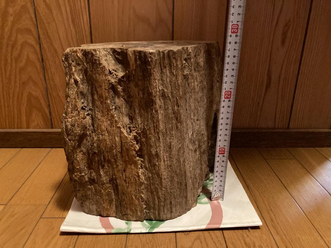 木化石 ブラジル産 30Kg弱くらい 珪化木 受け渡しも可能です