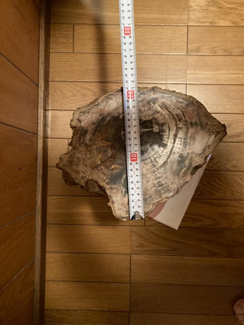 木化石 ブラジル産 30Kg弱くらい 珪化木 受け渡しも可能です