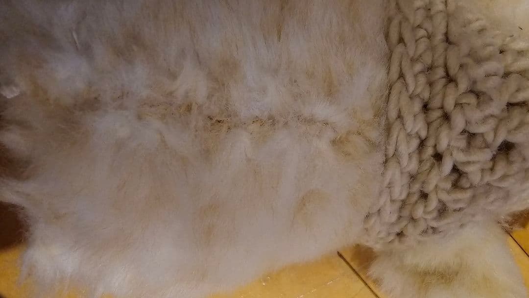 ファービー2(日本語)帽子つき