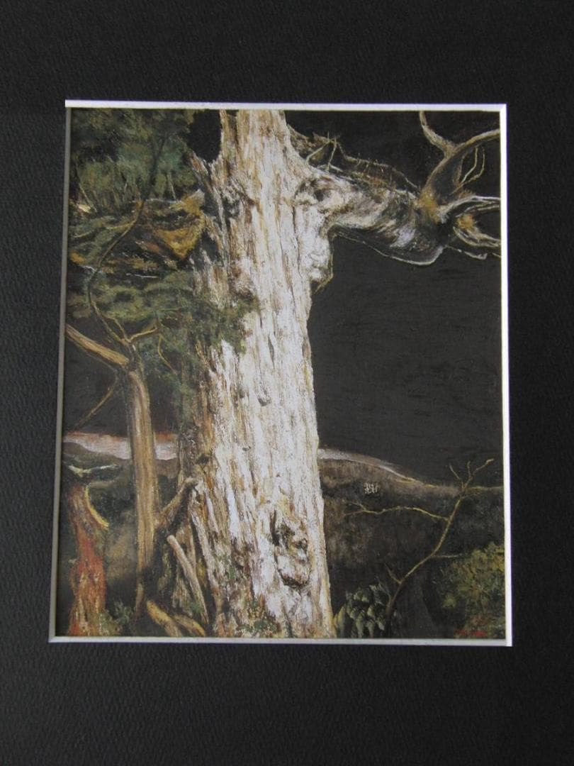 京田徹夫、【3000年の生命（紀元杉）】、希少な額装用画集より
