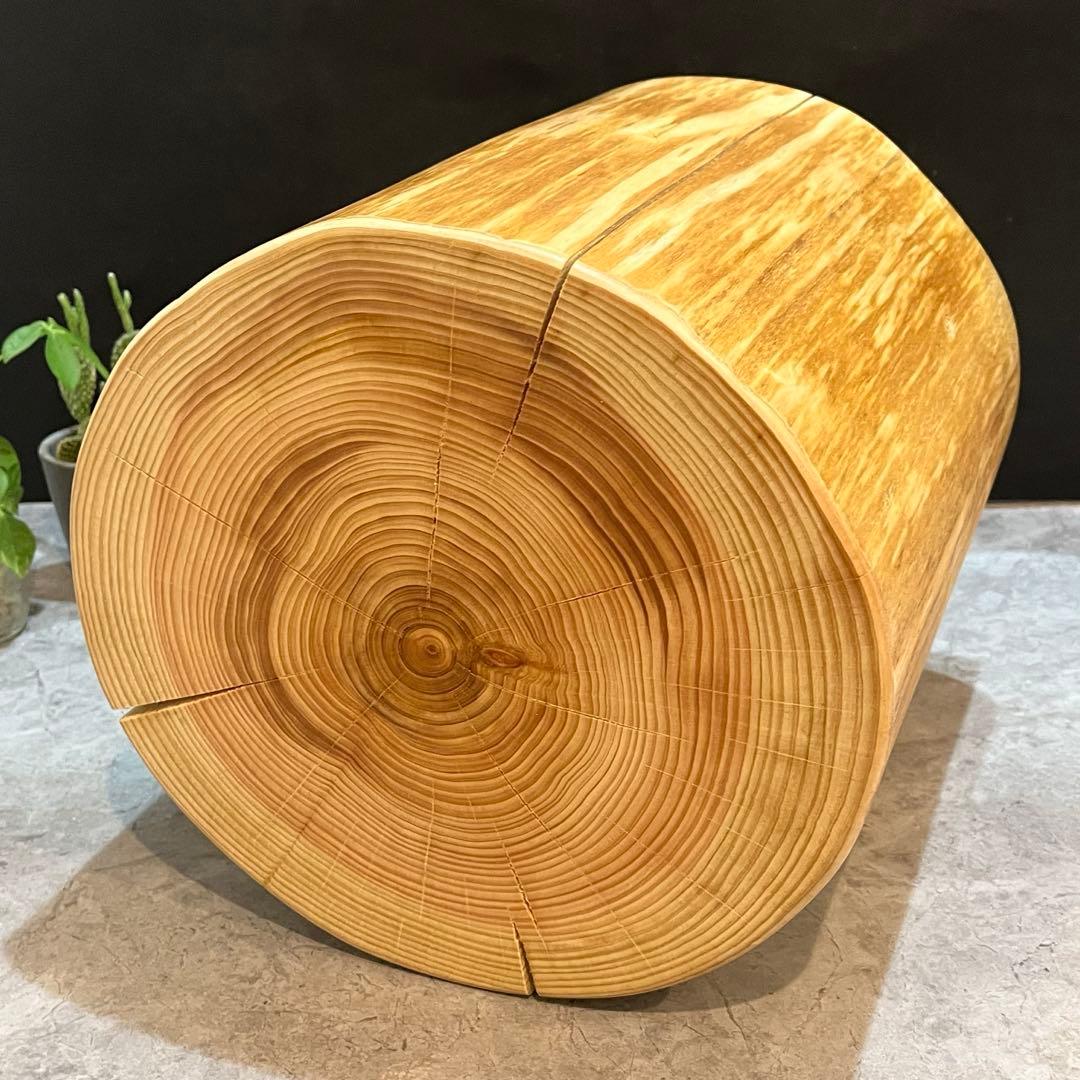 788 切り株　丸太　輪切り　スツール　丸太椅子　チェア　オブジェ　インテリア