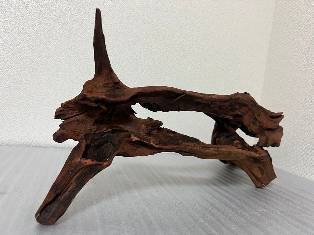 HX-081 流木 ホーンウッド マシンガンウッド アクアリウム ブランチ