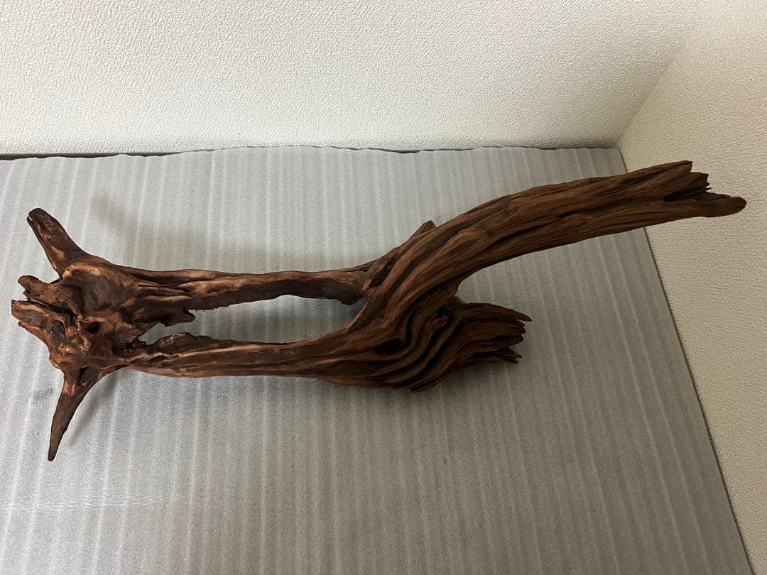 HX-081 流木 ホーンウッド マシンガンウッド アクアリウム ブランチ