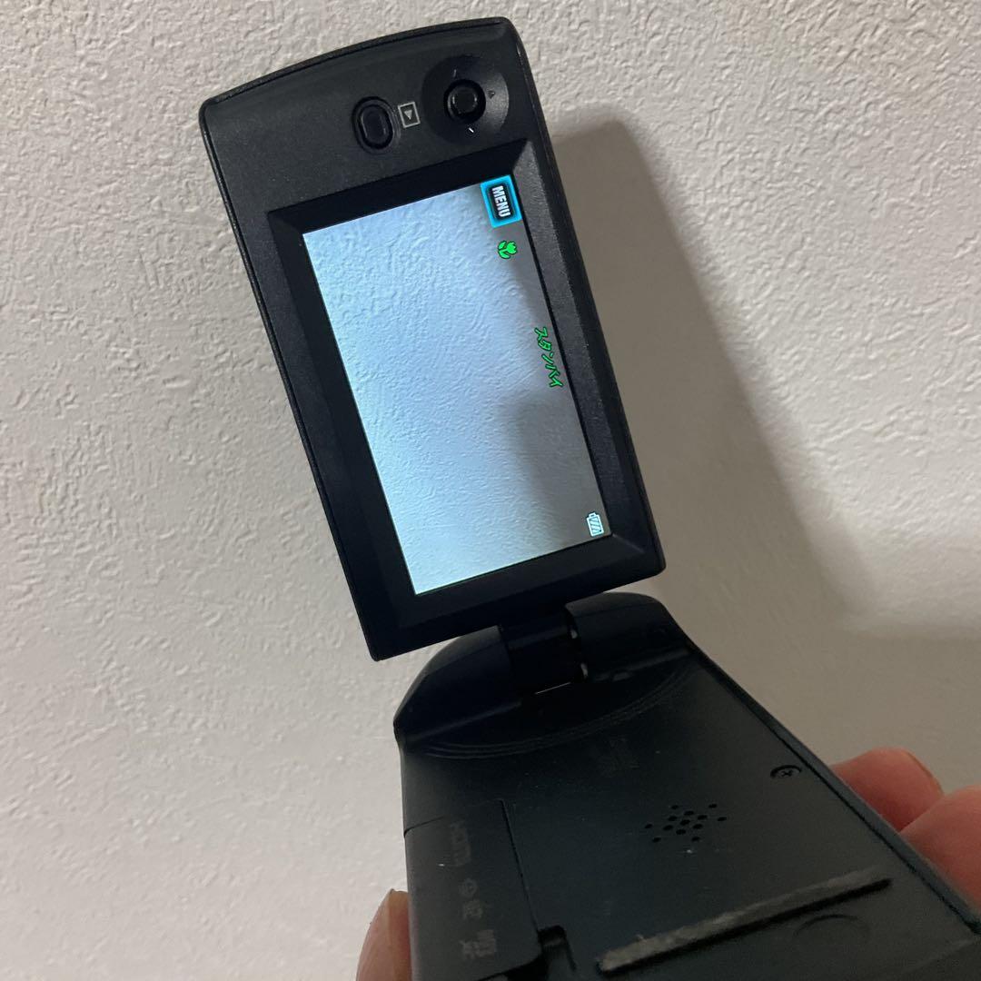 シマウマ 使用1日 動作確認済 SONY HDR-CX470