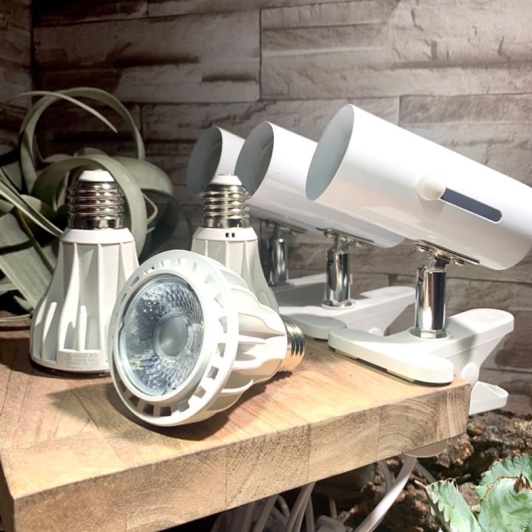 引き取り限定ADAキューブキャビネットクリア+木製ベースW300×D300用 ①