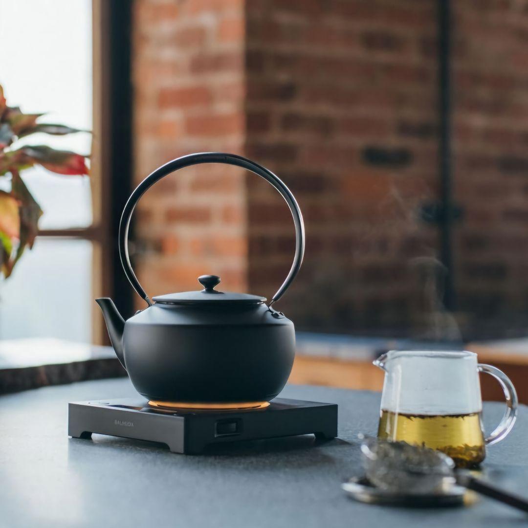 バルミューダ ムーンケトル ブラック BALMUDA MoonKettle 黒