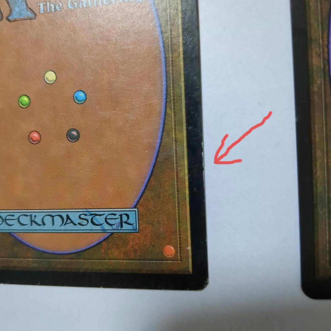 MTG 適者生存（２枚セット）　英語版２枚